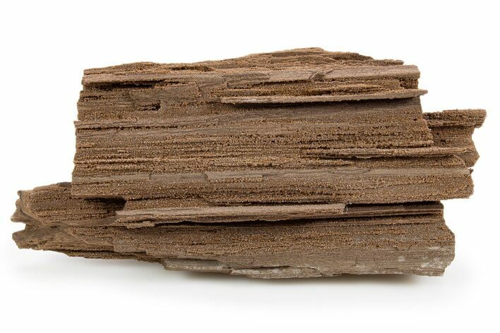 Permineralized Wood Covered In Sparkling Quartz - Germany #302082
